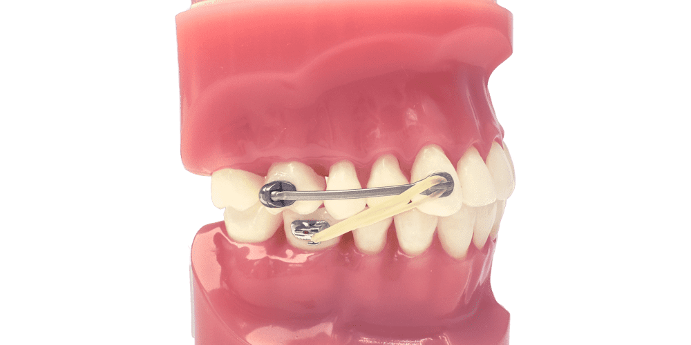 shift elastics copy